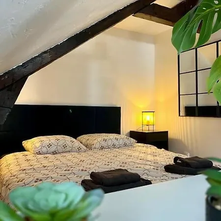 La Perle De Apartment *
